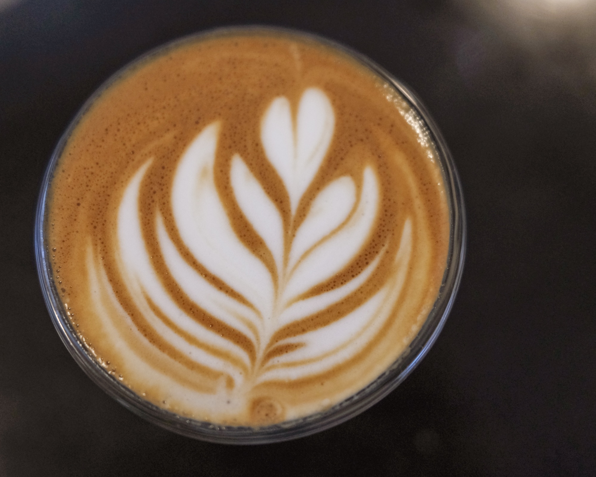 Barista Daily: 8/5/2025